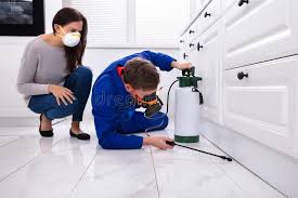 Professional Pest Control in Edwardsville, IL